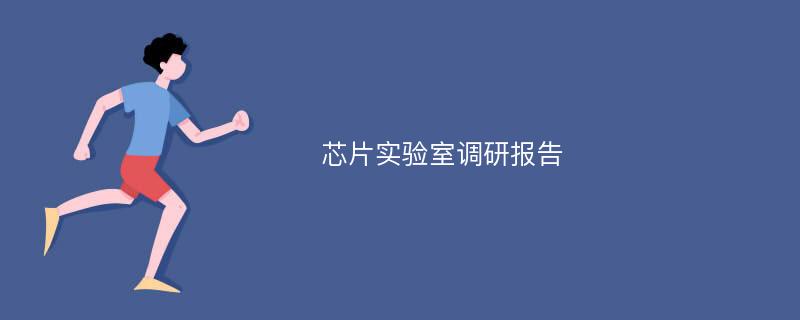 芯片实验室调研报告