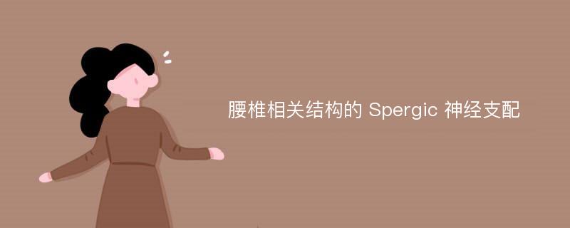 腰椎相关结构的 Spergic 神经支配