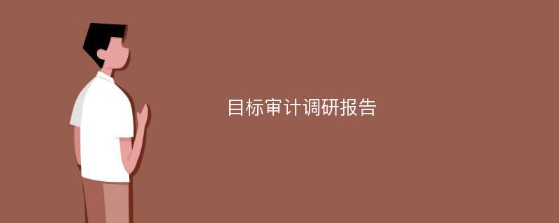 目标审计调研报告