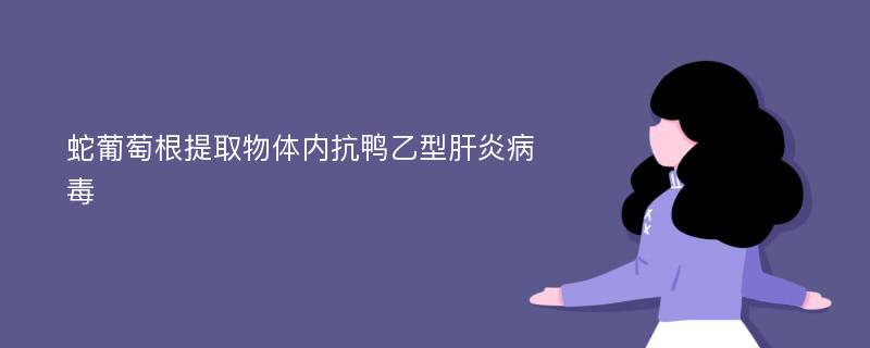 蛇葡萄根提取物体内抗鸭乙型肝炎病毒